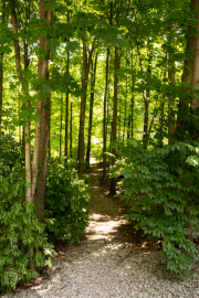 Landscape Photography