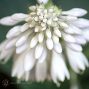 Landscape Photography