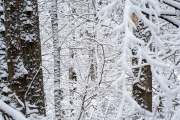 Landscape Photography