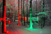 Landscape Photography