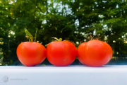 Creative Photography