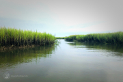 Landscape Photography