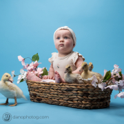 New Born Portrait