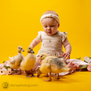 New Born Portrait